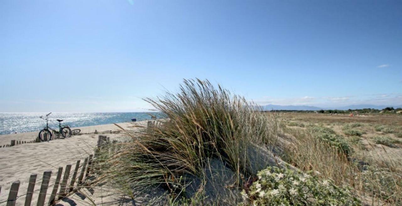 Maison Jardin Wifi - Climatisation - 100 M Plage Sauvage - 20 Min Perpignan Torreilles Eksteriør bilde